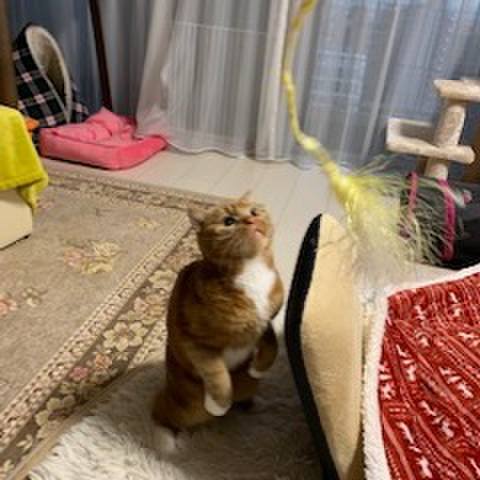 38fe9e62 aeb9 4538 951e 470abbda0ba5 1546251353809