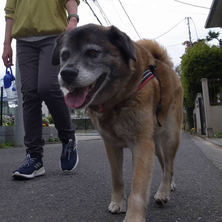 38feb3da fb4e 4e44 93a5 2cdddae67fa2 1604361973529