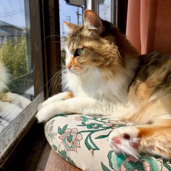 38fede6e f6cd 4b73 9c79 d4df5c806bcc 1554436025032