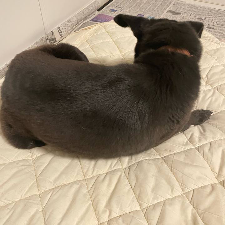 38fee302 7c06 4106 af8d be99bbd3ecca 1666720114183