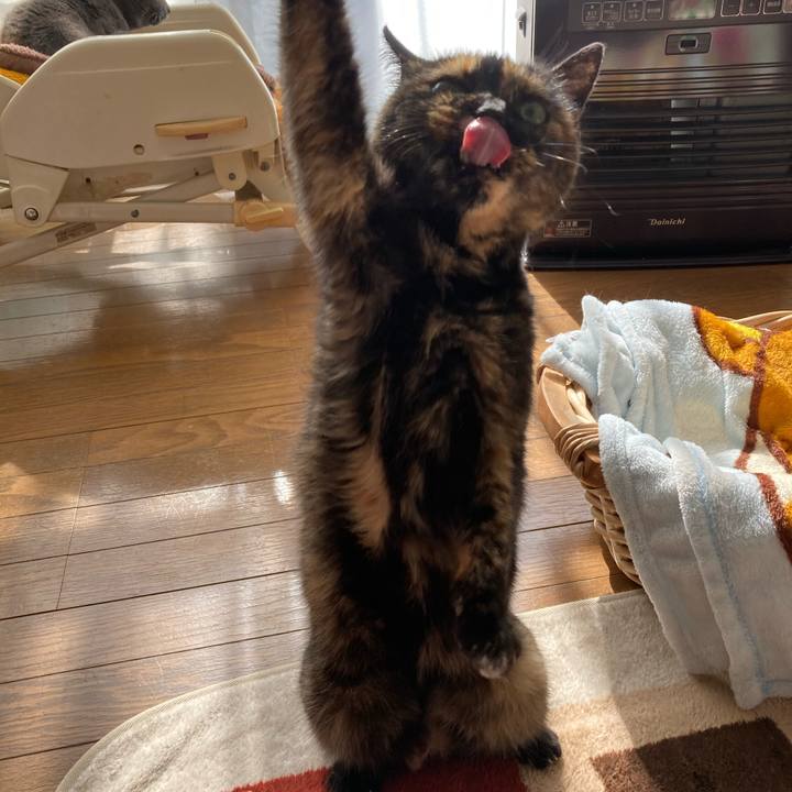 38feffc0 5b12 4ce3 8dd2 29bbcea74f44 1612583095717