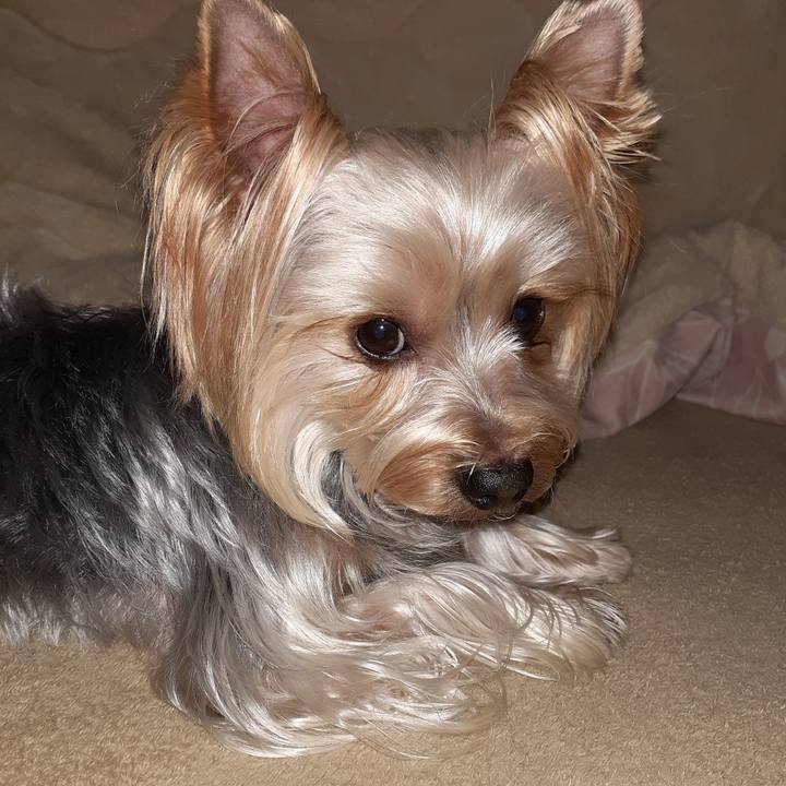 38ff0e86 3131 46c7 a00d 13d601964f4d 1578737744269