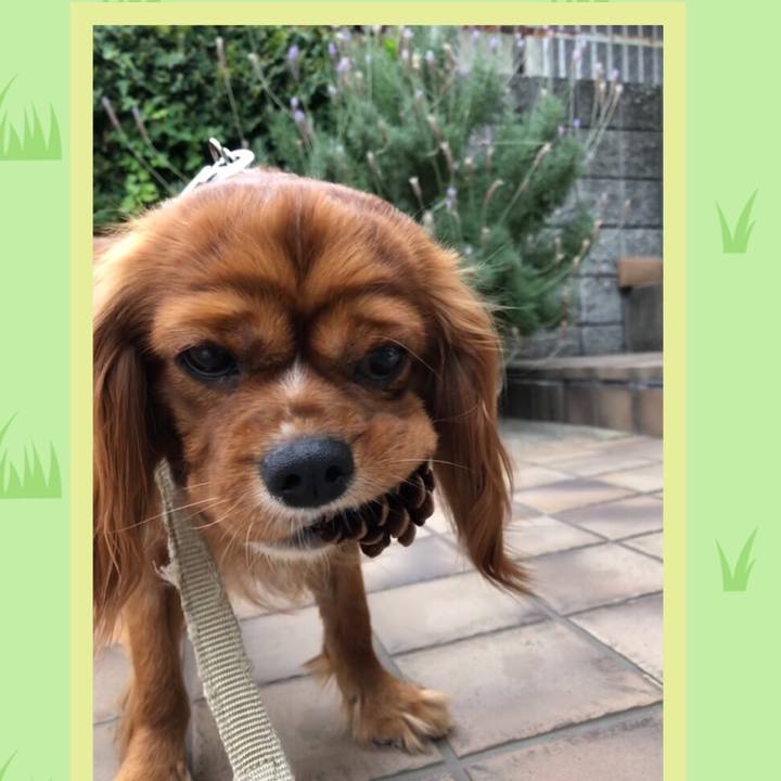 38ff1d0c 9659 4936 a39c f0b3f996b229 1559984226259