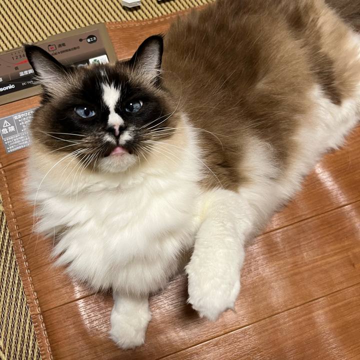 38ff2548 6cd0 43da a109 53aac60f866f 1711919494771