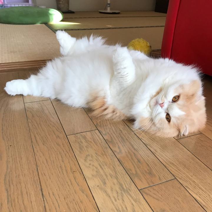 38ff3ead 5823 4dd1 a949 8807d676059c 1540779514299