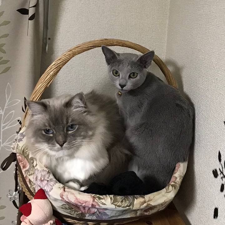 38ff5b0a 61f1 4824 8c7a f9034465006c 1546852180351