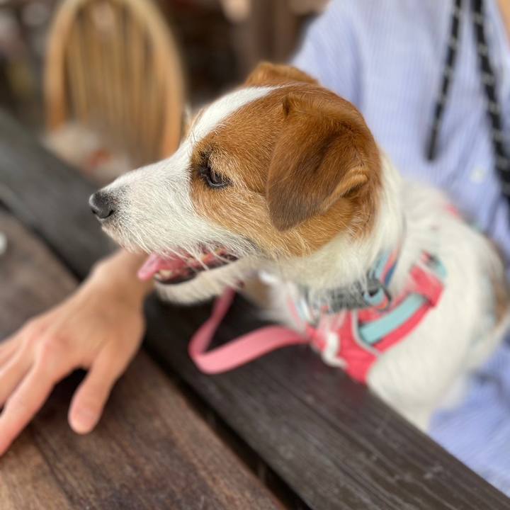 38ff8f33 5680 4a00 b152 7f0f49516773 1685189753478