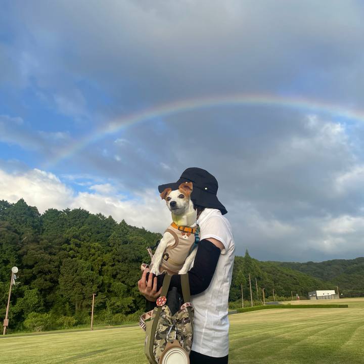 38ff9f52 5a46 45fc afba 591262d6c972 1692704952890