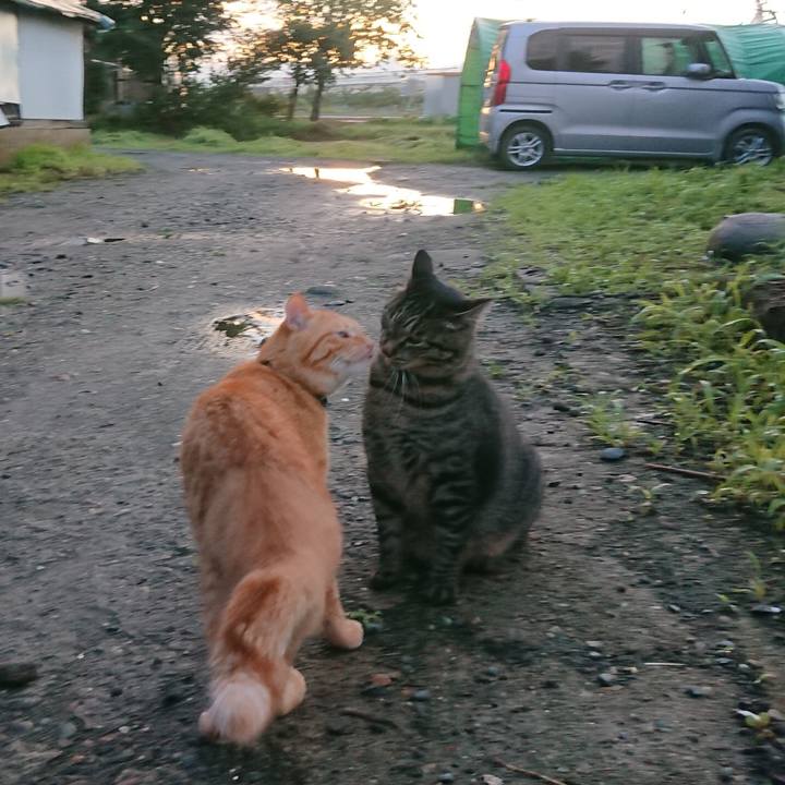 38ffc37b c0ae 4e44 92fa 1327faca177d 1661893776938