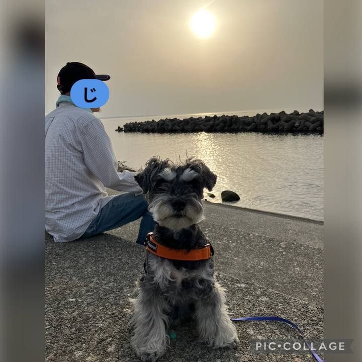 39006f11 0144 43a1 9c51 aa425e873a9e 1745065248217