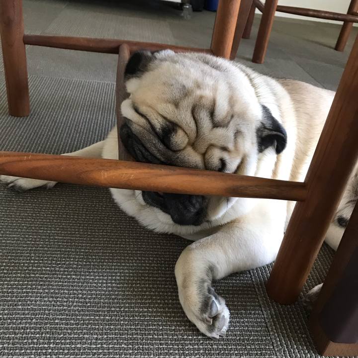 3900dc7a 0042 4659 aadc 7d28be0f3e48 1589530128830