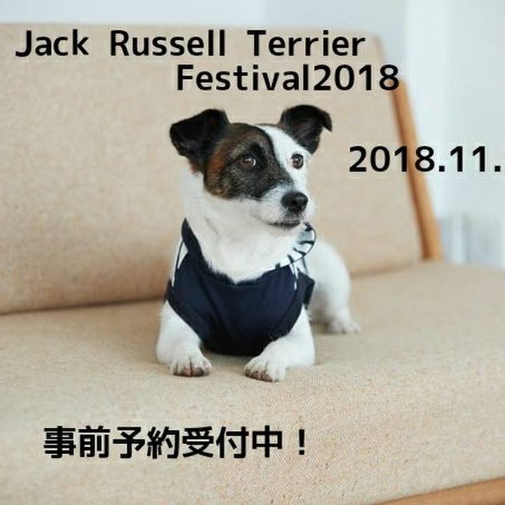 3900fde1 b399 47f5 9cb6 20c10c3f1397 1542374799572