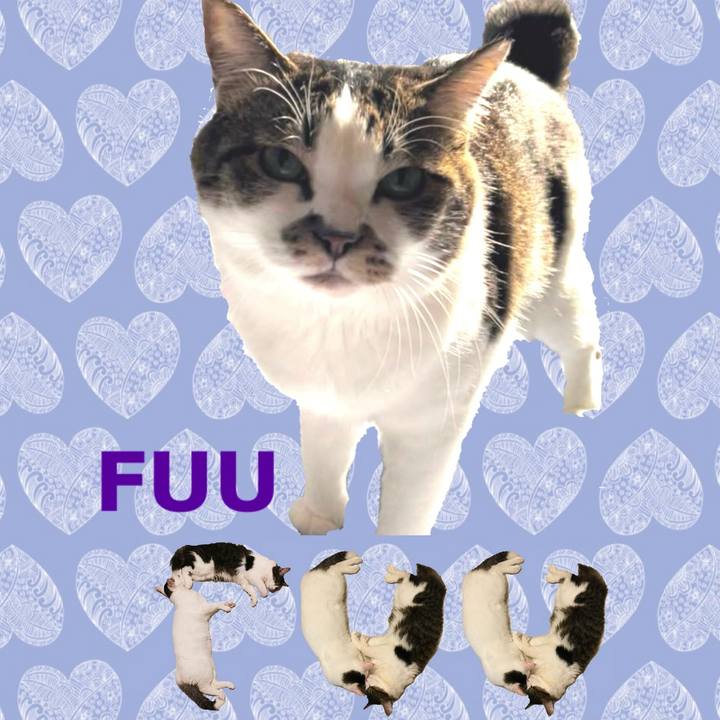 39010b04 9918 4fbb a804 a877c661a6a3 1668300746775