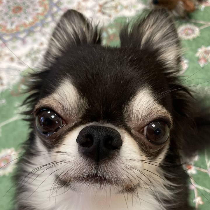 39013866 afc7 4f05 9e3d 7ea75475d98c 1661035122137