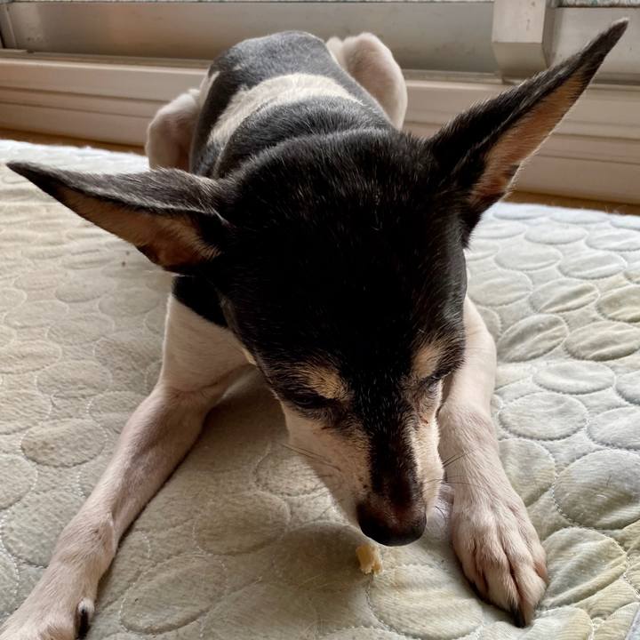 3901413a b5da 45af 8e04 f9c65c61f98d 1599689680079