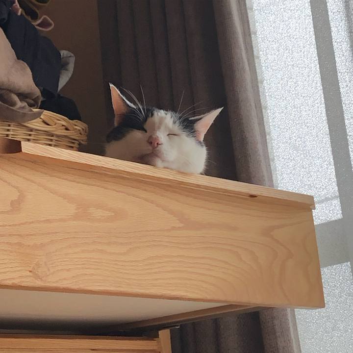 39014fc1 31e7 4f5f aa96 ad29e182c867 1594984443393