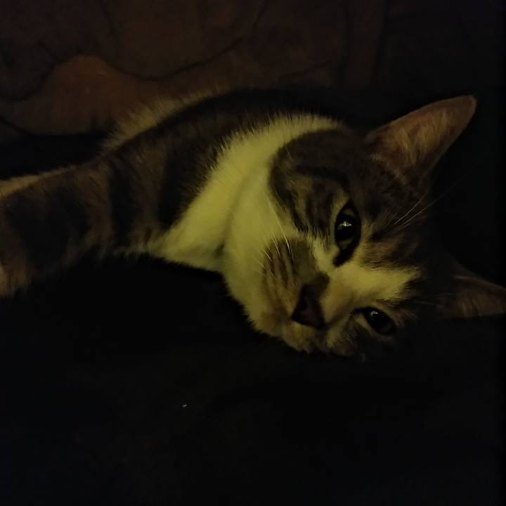 3901756a 031e 476f abf9 fcd818af06a9 1576422911004