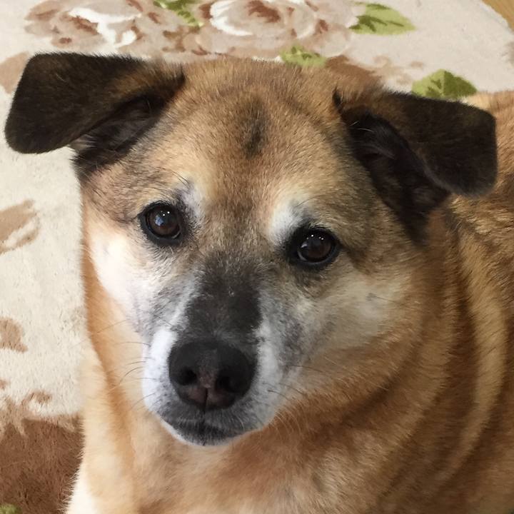 39017893 c0af 4f73 b114 1dabe435bacb 1586062806727