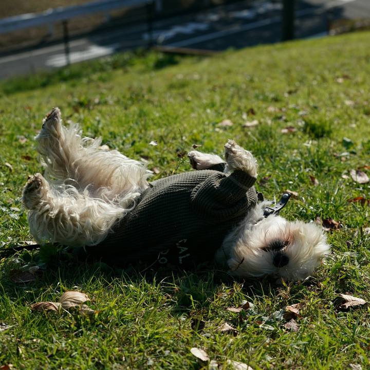 390178b9 f6e1 4b8a a423 8174a5ec435c 1518391162373