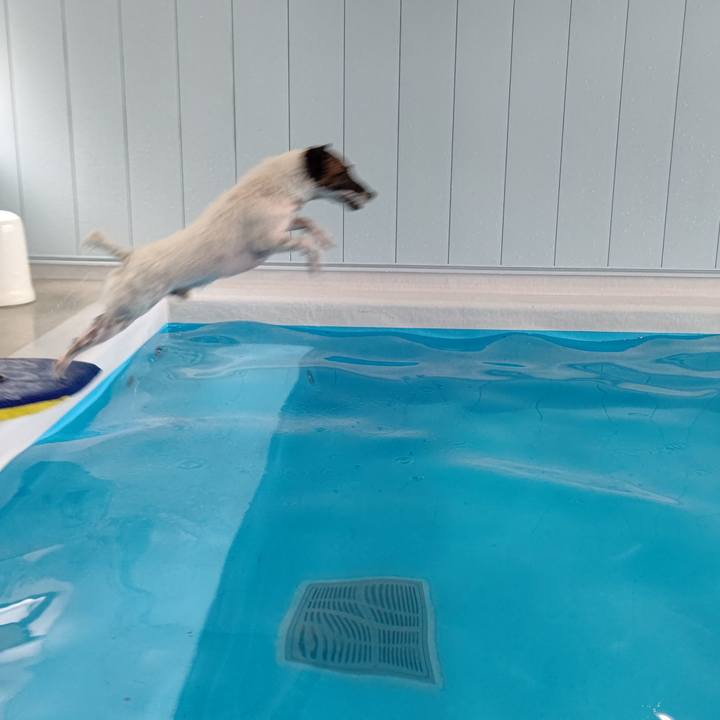 39018fbf 60e0 4e9f b341 f18508367b51 1659776449093