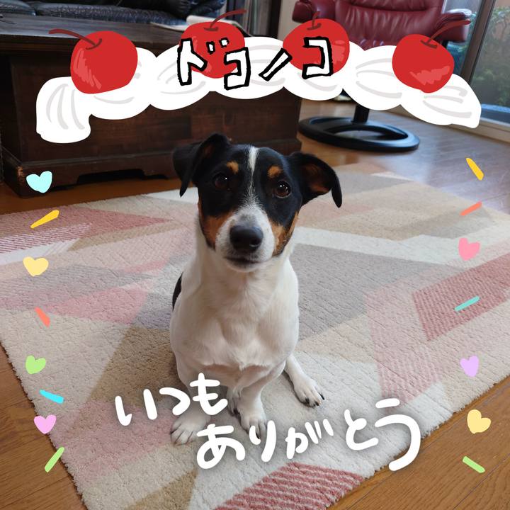 3901a3dc 928f 494f 9b2b 097be17509db 1685957967776