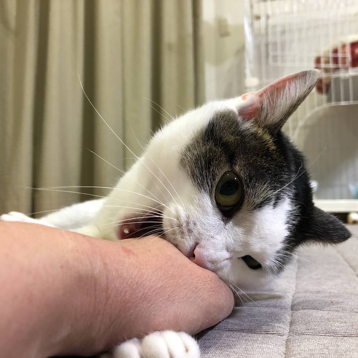 3901f22d afcf 4471 9b7a 85ca70af0f3f 1635517253084