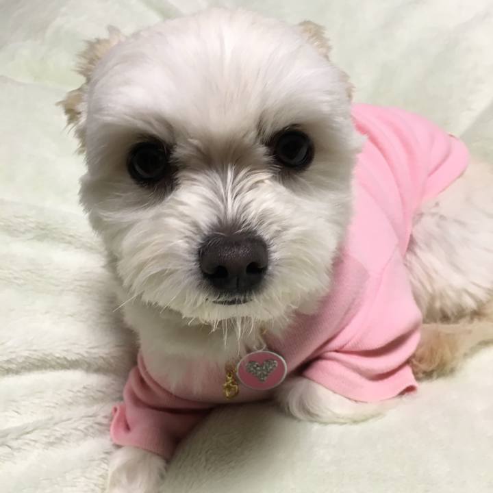 3901fc01 be86 4471 956a 13c2245d7c89 1518694955839