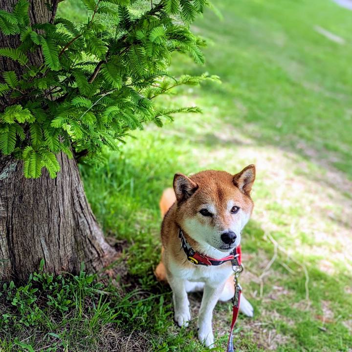 39020ea8 f007 4ce6 b6bb 27a6b0871ef9 1718853246117