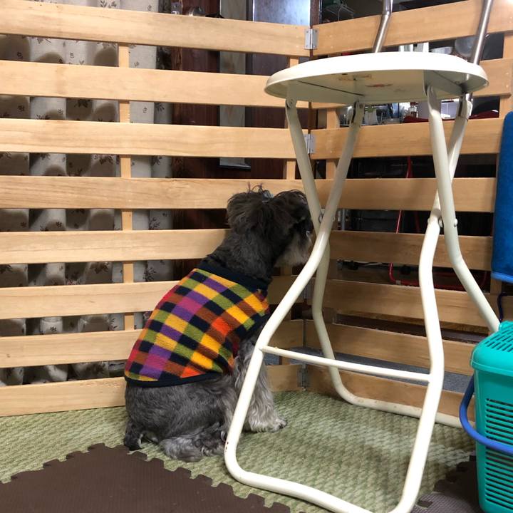 390283ae 2a86 43f4 a499 a198b5dee135 1670589508928