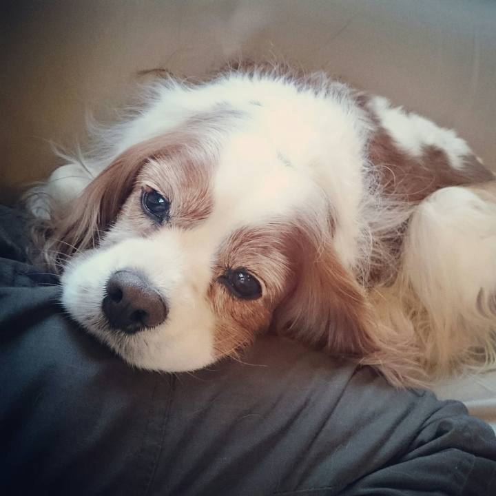 390288e8 f220 4148 bc63 3137c8196793 1518419371452