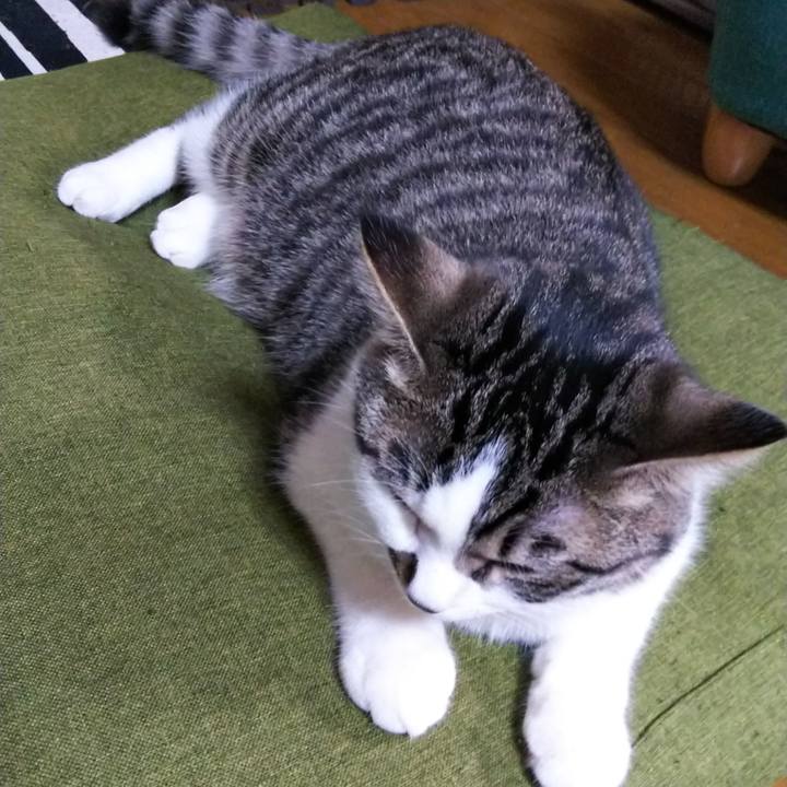 390318b3 d9ce 4faf a6ae 70a733c348ab 1619733405252