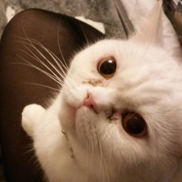 390322b0 7ffb 4b4d acf0 e24e4f8f4b0b 1520242139187