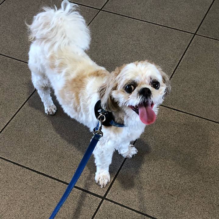 39033517 50c1 4d3c b50e 934d958c0dda 1529876146171