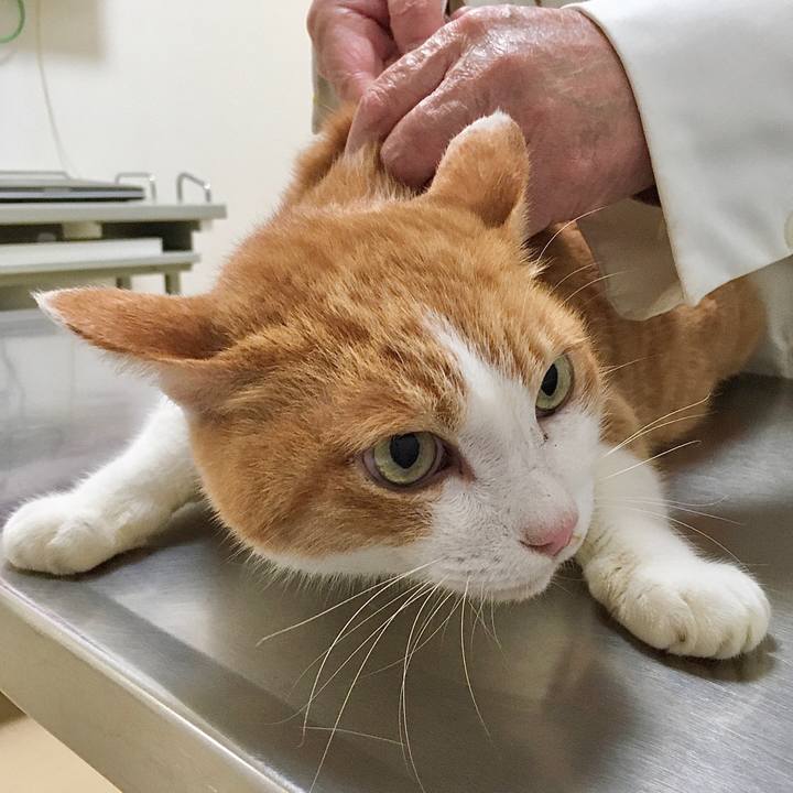 39034504 63ac 4a39 84e0 292ac93387dd 1573028920979