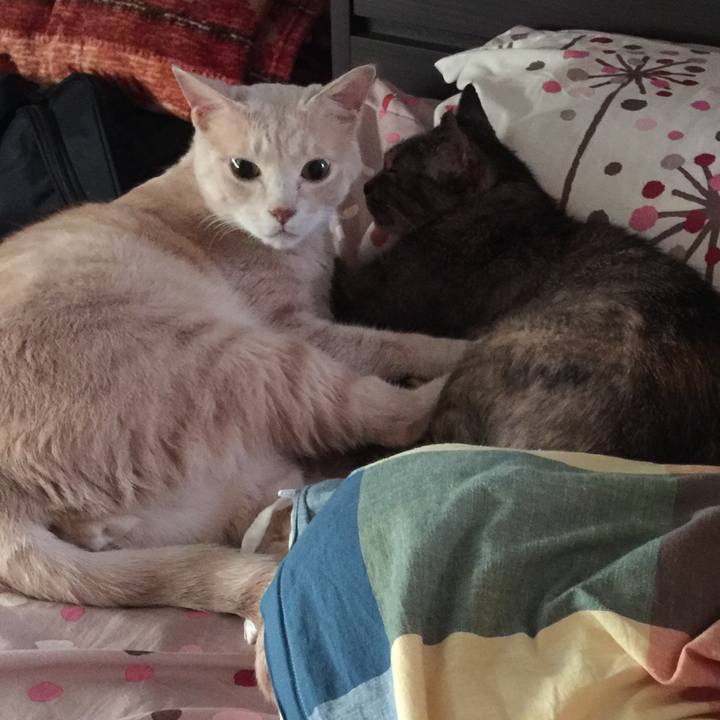 39035ae2 2dcd 44fb b3be 3efb9ac50f7c 1533246109548