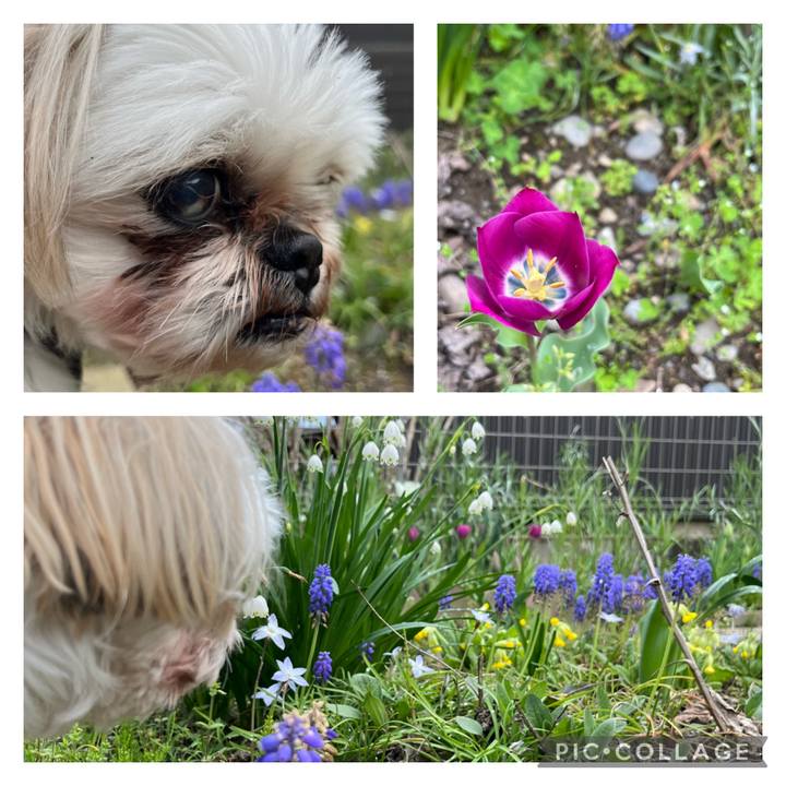 390371bf fe13 4555 a4a6 d7ed73be52b5 1712557573338