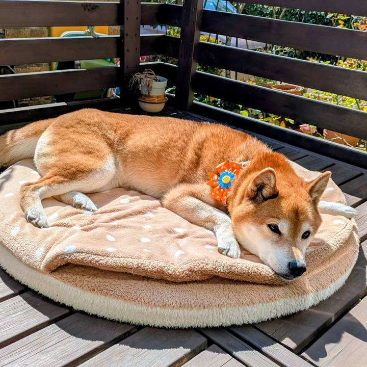 39038362 e366 4fdc 9f0d 88132148c974 1773474274906