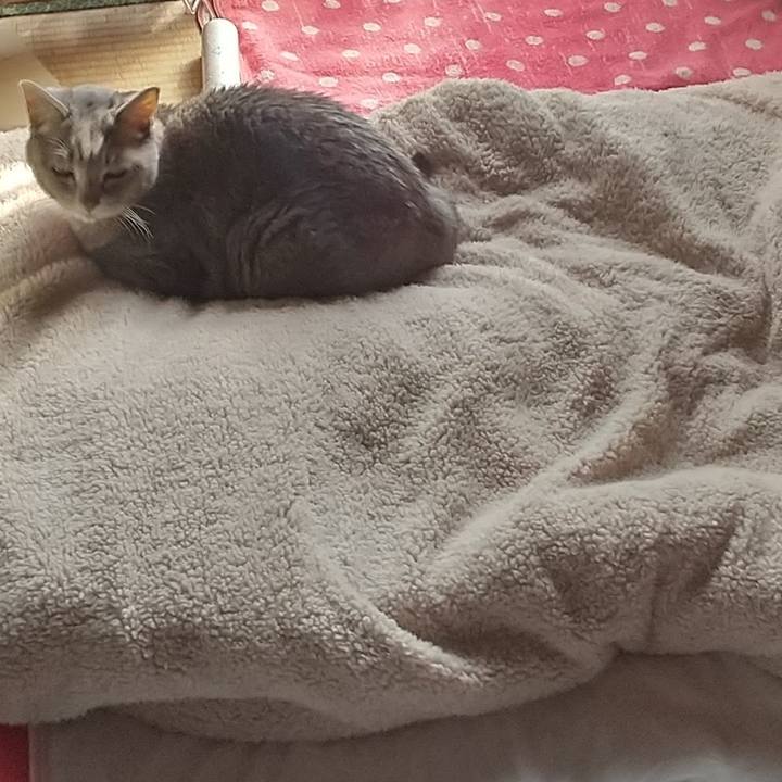 39038d0c 9079 4a16 a811 39afd0ac35b1 1675484802288