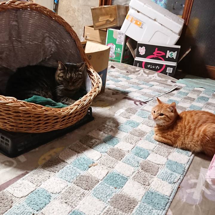 3903c5e8 8dcd 4940 b58f 316abde8114e 1641381300648