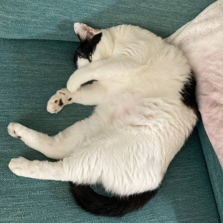 39042a99 f7ec 497b a2c9 f9837180d509 1759706567979