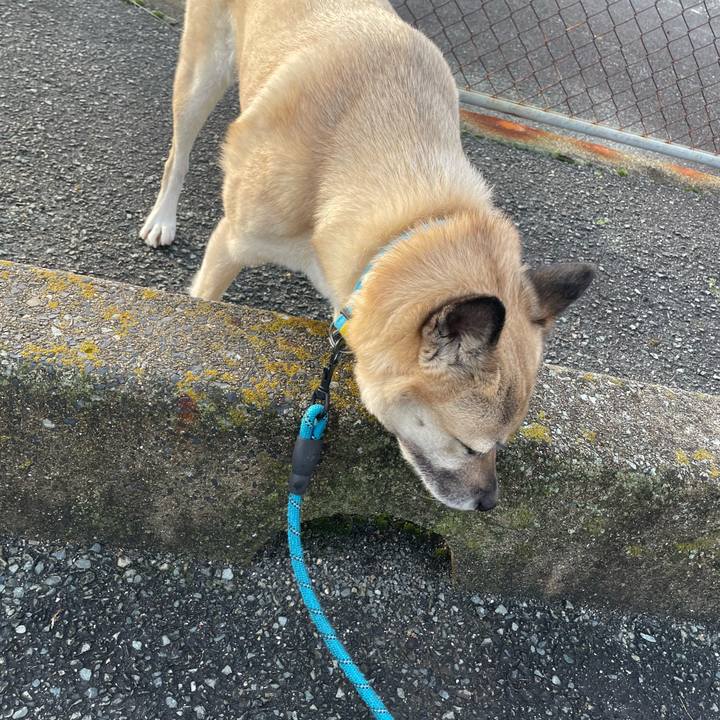 3904472f 8c02 44da 8b2f cf7614817f79 1679489029305