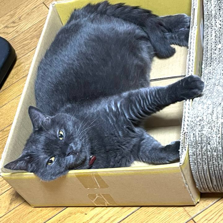 39045492 a32a 4d69 bd4d 5aa7ad1a5bd2 1757458155239