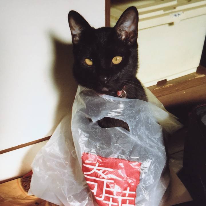 39049ac5 e35e 428d b5e9 3ff366d425ad 1556350851950