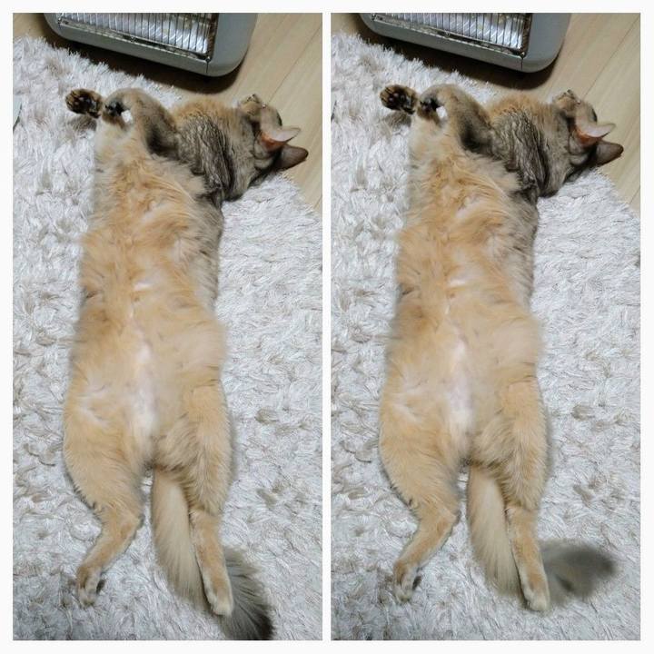 3904a428 be07 4f82 a740 10e7d682ae08 1608469830216