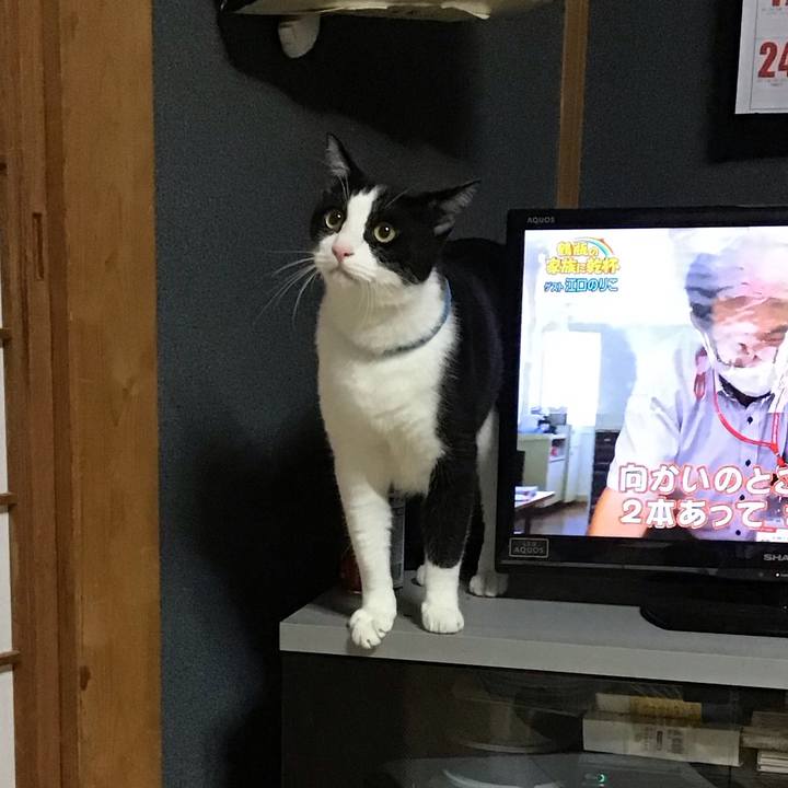 3904df97 ccb0 4337 8a33 951bbb15d92d 1695641865381