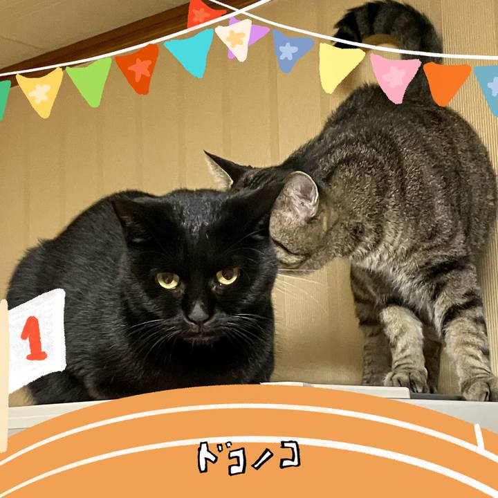 3904e7a1 48fc 43f3 a977 46ff85df9448 1763077701897