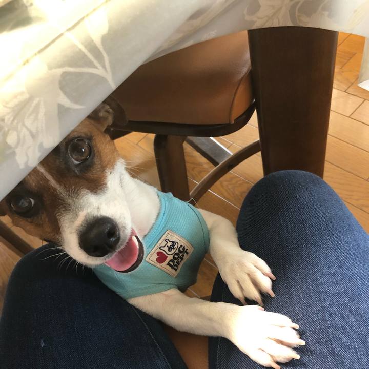 3904e8d8 c428 495d a8ed 9a09c8cce044 1566176953426