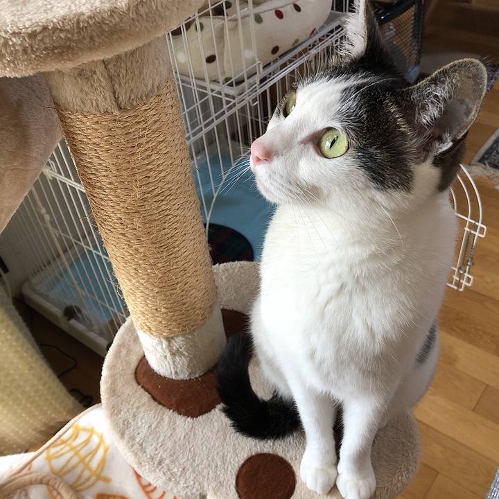 3904f53e 08b1 40c3 9a48 781c609e6a0f 1680134662434