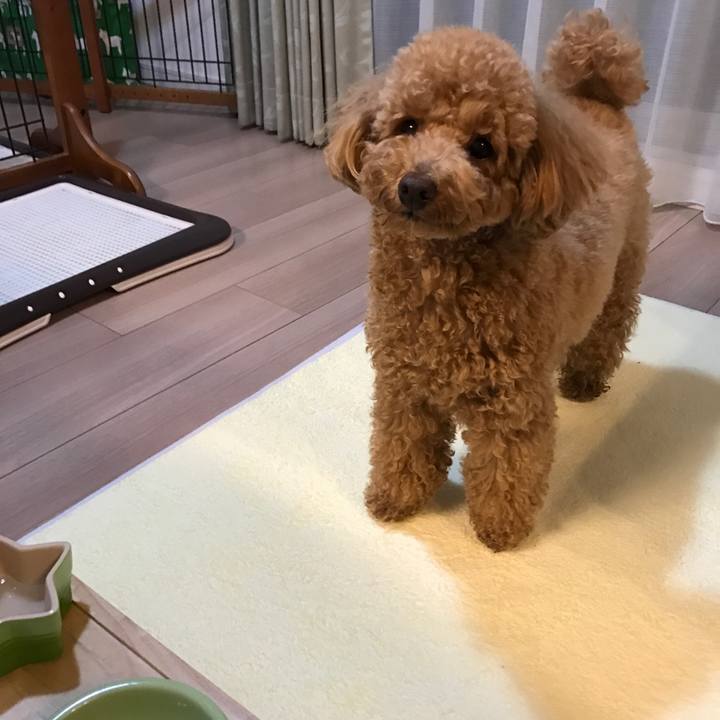 39050738 88b4 4f5b bc49 0863c89c64b2 1513951859705