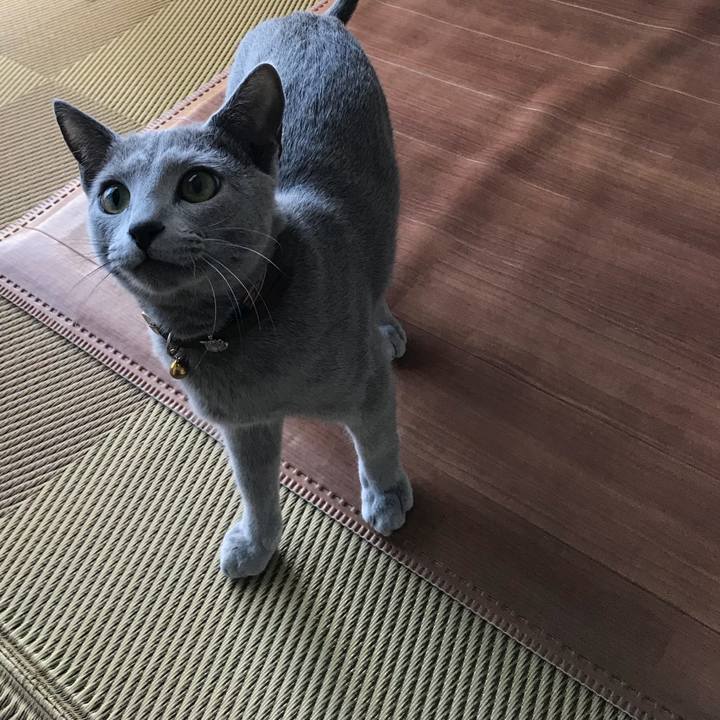 39051451 ce82 45da aef6 a793543fde87 1519034032684